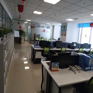 Integratore Vitaminico per la Salute e le Prestazioni di Pappagalli, Uccelli e Piccioni, Grande Successo di Vendite, 600 Compresse per Piccioni Giovani per Stimolare la Crescita - Product Image 6