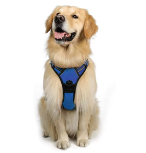 Vente en gros de <span class=keywords><strong>harnais</strong></span> souple pour <span class=keywords><strong>chien</strong></span>, <span class=keywords><strong>meilleur</strong></span> vendeur, gilet de sécurité durable et haut de gamme, <span class=keywords><strong>harnais</strong></span> souple réfléchissant réglable pour <span class=keywords><strong>chien</strong></span> - Product Image 6