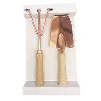 Set 2 pezzi Kit da giardinaggio Mini pala a mano in metallo e rastrello con manico in legno attrezzi da giardino in oro rosa