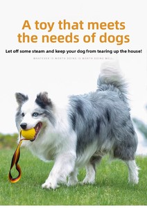 Giocattolo da Masticare Moderno per Cani, Palla da Tennis in Gomma Indistruttibile con Suono, per Allenamento dell'Istinto di Masticazione - Product Image 4