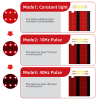 Colchoneta de Terapia de Luz Roja LED de Gran Tamaño (660-850nm) de 160cm/180cm para Cuidado de la Salud de Cabeza y Cuerpo, Colchoneta Infrarroja para Dormir