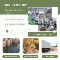 Pailles à boire en bambou de qualité supérieure en gros, réutilisables, 8*200mm, pailles en bambou vertes pour boissons, smoothies, cocktails, jus