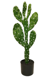 Venta caliente barato plantas tropicales de interior pequeña planta del desierto en maceta bonsái <span class=keywords><strong>cactus</strong></span> suculento Artificial - Product Image 3