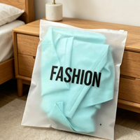 Commandes personnalisées en gros acceptées, sacs en plastique transparent givré avec fermeture éclair, logo doré pour t-shirts, pantalons, sous-vêtements