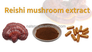 สารสกัดเห็ดหลินจือ 4% ~20% ไตรเทอร์พีน กรดกานอเดอริก ผงเห็ดหลินจือ - Product Image 4