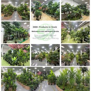 Bananier artificiel <span class=keywords><strong>en</strong></span> plastique grand bonsaï plante au sol décoration intérieure écologique haut de gamme <span class=keywords><strong>en</strong></span> <span class=keywords><strong>vrac</strong></span> <span class=keywords><strong>en</strong></span> stock - Product Image 5