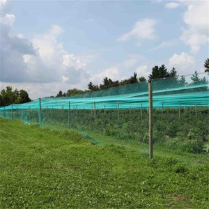 Rete Anti-Uccelli in PE Annodato Durevole per Protezione Frutteti, Dimensione Fori 2cm 3cm 4cm, Rete Verde Anti-Uccelli per Allevamento Avicolo - Product Image 1