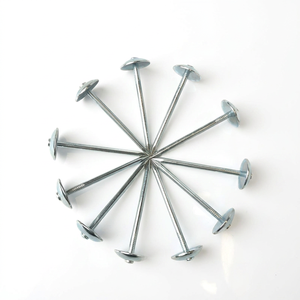 Clavos para Techos de 2 Pulgadas con Cabeza Convexa para Techos de Metal y Asbesto - Recubiertos de Cromo, Caja de 20 kg - Product Image 3