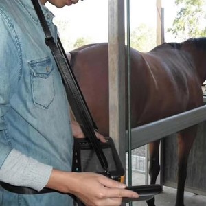 HV-5 Draagbaar Handheld Veterinair Echografie Systeem Sonar Technologie Zwart-Wit Veterinaire Apparatuur CE Gecertificeerd Obstetrische Meting - Product Image 5