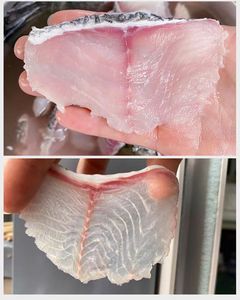 Máquina Cortadora de Carne de Salmón en Ángulo Inclinado/Máquina Cortadora de Carne de Sardina/Máquina Cortadora de Peces Carpa en Trozos - Product Image 5