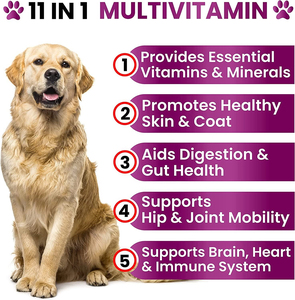 Suplemento Masticable Multivitamínico 11 en 1 para Perros, con Glucosamina, Vitaminas para Perros, Condroitina, Apoyo para Cadera y Articulaciones - Product Image 5