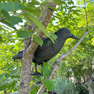 Ngoài trời săn bắn trang trí sân vườn Halloween decorsimulation nhựa Crow tượng Crow decoys cho cây - Product Image 1