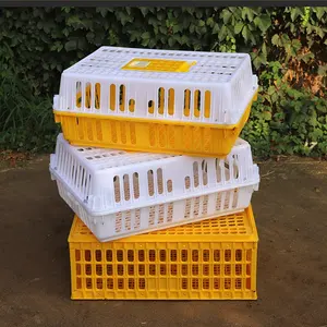 Güçlü yük taşıyan plastik tavukçuluk bıldırcın güvercin taşıma kafesi filipinler satılık - Product Image 1