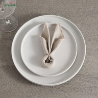 Assiettes en Grès Céramique en Gros, Bord Vertical Japonais Noir, Blanc, Rouge et Beige avec Fini Poli pour Restaurants et Hôtels – Plateaux de Service