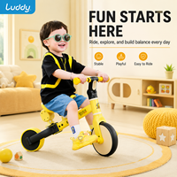 Luddy Custom Kinder 2-in-1 Roller mit verstellbarem Lenker, Kleinkind-Dreirad, Anti-Rollover, Aufsitzspielzeug für drinnen und draußen, 2-6 Jahre