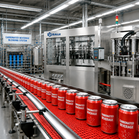 Chaîne de production automatisée pour le remplissage et le scellage de canettes de bière et de boissons gazeuses, usine de mise en conserve et de sertissage