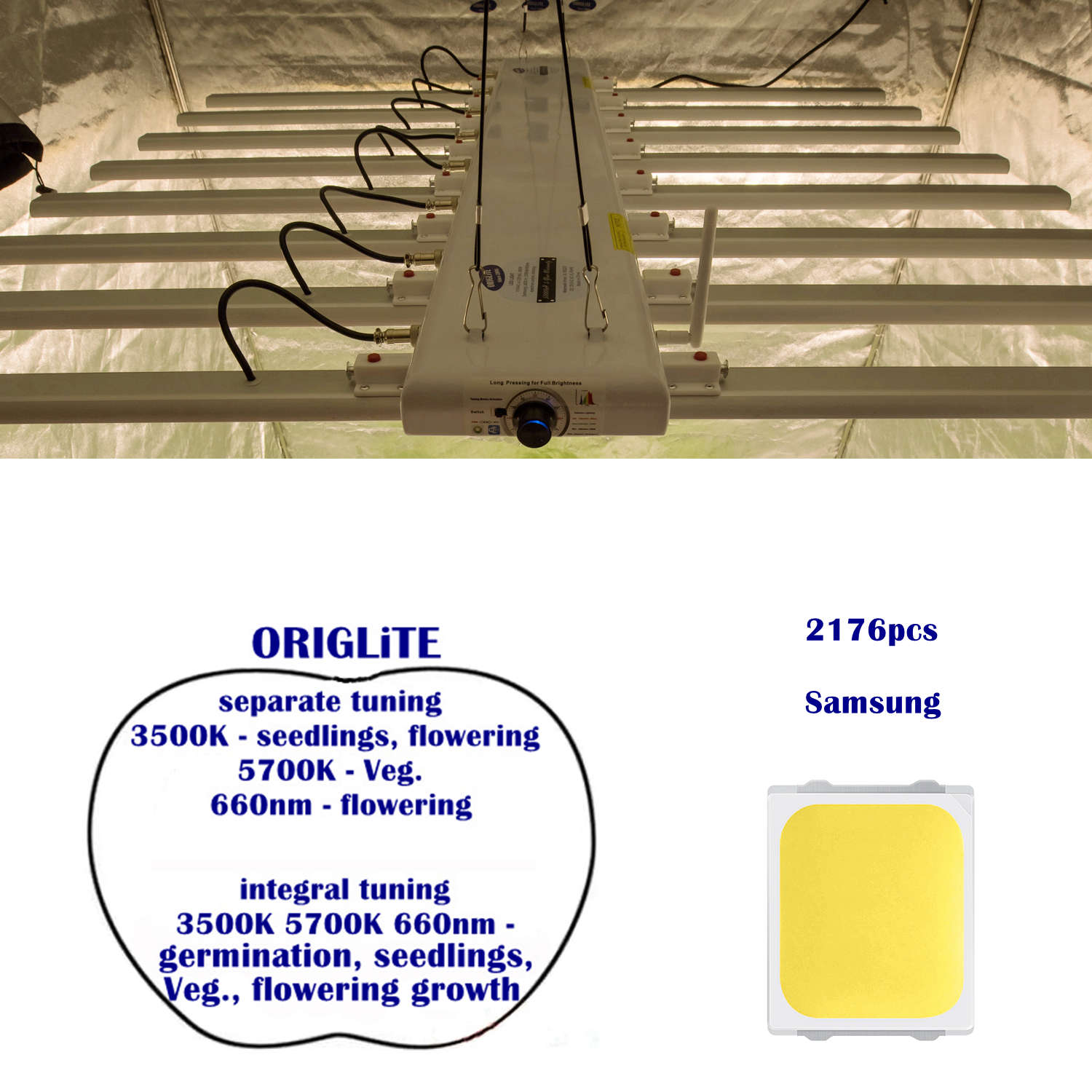 हाइड्रोपोनिक बढ़ रही प्रणालियों Dimmable सैमसंग शाकाहारी बढ़ने प्रकाश के लिए एलईडी पूर्ण स्पेक्ट्रम क्वांटम एलईडी है। खिल वाणिज्यिक चिकित्सा विकास