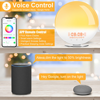 Aufwachlicht Sonnenaufgang-Wecker Smart WiFi USB App-gesteuerte Nachttischlampe Natürliche Geräusche FM-Radio Kunststoff 1 Jahr OEM ODM
