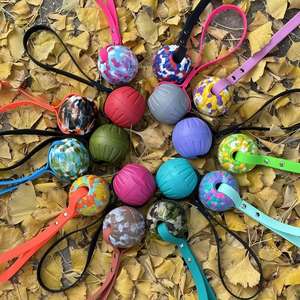 Balle à mâcher moderne de luxe pour animaux de compagnie en mousse EVA avec corde colorée – Nettoyage des dents – Vente directe usine – Plusieurs couleurs disponibles - Product Image 1