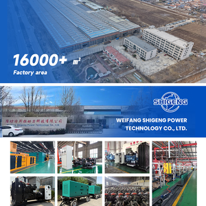 Groupe électrogène à châssis ouvert 40KW à structure robuste, démarrage à distance, 50Hz, entretien facile, fonctionnement continu, industriel TSL-40GF H - Product Image 6