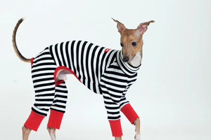 แจ็กเก็ตสุนัขลายทางสีขาวดำแบบซูเปอร์ฮีโร่น้ำหนักเบาหรูหราออกแบบได้ตามต้องการ - Product Image 2