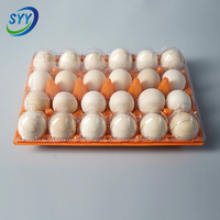 Barquette en PET coloré de qualité alimentaire, type carton à œufs, avec base et couvercle détachables, antichoc, empilable, impression personnalisée OEM, RPET direct