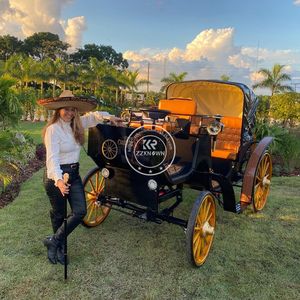 OEM Kalesa Sightseeing Horse Carriage Horse Wagon for Outdoor Sport - Product Image 1