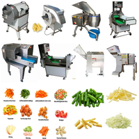 Automatische RVS 304 Turnkey complete productielijn voor diepvriesgroenten en -fruit, inclusief broccoli, groene erwten en aardbeien