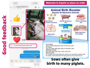 Promoteur <span class=keywords><strong>de</strong></span> mise bas pour chèvre, paquet <span class=keywords><strong>de</strong></span> 100 g, stimulateur <span class=keywords><strong>de</strong></span> mise bas pour animaux, stimulateur d'élevage pour truie, bovins, chèvres, moutons, plus <span class=keywords><strong>de</strong></span> bébés, additifs - Product Image 2