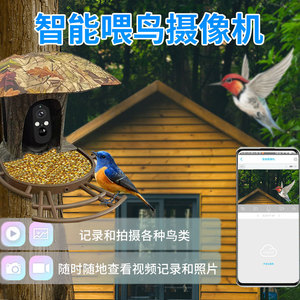 กล้องให้อาหารนกอัจฉริยะ AI พลังงานแสงอาทิตย์ ไร้สาย Wifi อินฟราเรดมองเห็นในเวลากลางคืน ระยะ 15 เมตร พร้อมระบบสื่อสารด้วยเสียงและสัญญาณเตือน - Product Image 3