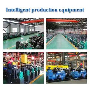 20kVA 20kW 25kVA 36kVA 22kW 23kW Stromerzeuger mit Wechselrichter für Zuhause, Einphasig und Dreiphasig, Erdgas-Generator, <span class=keywords><strong>LPG</strong></span>-Generator - Product Image 2