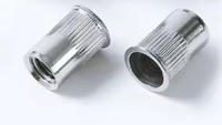Chine fabricant 304 acier inoxydable Revet Rivet écrou en acier au carbone bande plate trou aveugle isolant rivière ancres de cloison sèche