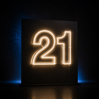 Lettres néon LED RVB japonaises pour décoration murale, enseigne lumineuse néon « Happily Ever After 21 », enseigne néon personnalisée, fournisseur de dropshipping