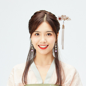 Accessoires pour cheveux Hanfu, épingles à cheveux, ornements capillaires en jade de style ancien pour femmes, petites épingles à cheveux, ornements capillaires, chignons, pompons - Product Image 1