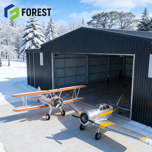 Hangar d'avion à structure en acier de haute qualité à faible coût, en acier Q355B pour avions légers, prêt à être expédié - Product Image 1