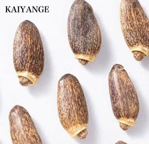 KAIYANGE - Té de Hierbas Secas 100% Orgánico al por Mayor, Semillas de <span class=keywords><strong>Cardo</strong></span> Mariano en Caja, Té Especial Desintoxicante en Bolsitas, Saboroso y Saludable para la Función Hepática - Product Image 2