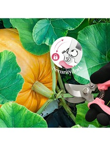 Horticultural Scissors Bird Beak Shape Branch <b>Pruning</b> Labor Saving <b>Pruning</b> Stainless Steel Picking Multifunctional Fruit Scissor - Product Image 5