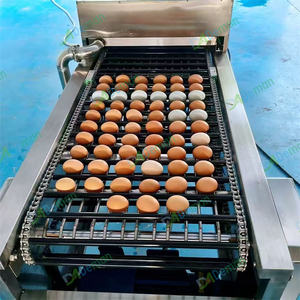 Machine de lavage, séchage, éclairage et tri des œufs de poule et de canard à <span class=keywords><strong>prix</strong></span> d'usine - Product Image 6