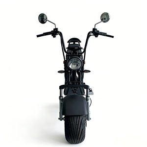 <span class=keywords><strong>Moto</strong></span> électrique 2 places en alliage d'aluminium 2000W, best-seller, avec sacoches de voyage longue distance pour adultes, scooter à deux roues - Product Image 4