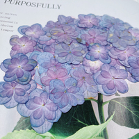 Fiori di Ortensia Essiccati e Pressati per Arte in Resina, Fai da Te, Decorazioni per Matrimoni, Regalo per Mamma, Insegnante, San Valentino, Compleanno, Bomboniera
