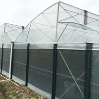 Serre à toit en dents de scie pour la culture de légumes et de fruits de haute qualité