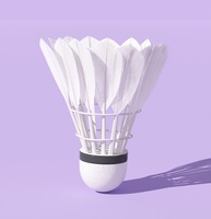 Volant de badminton hybride T-4 OEM du fabricant : Plumes d'oie de qualité B avec base sandwich double couche pour un entraînement haute stabilité