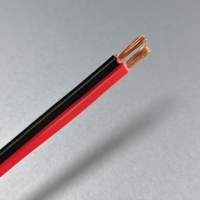 Câble de haut-parleur rouge et noir 16AWG, fil de haut-parleur parallèle à 2 conducteurs pour voiture et home cinéma, rouleau de 100 m