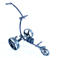 Carrito de Golf con Control Remoto Fácil de Montar, Ligero y Portátil, con Tamaño Compacto