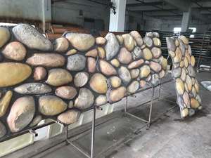 Tono de imitación de rey, ossil, ultural - Product Image 5