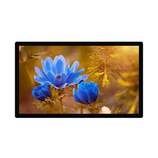Slim Design 49 50 Inch USB RS232 PCAP Capacitive Touchscreen TFT LCD Touch Screen Monitor Display