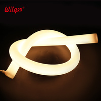 30mm 360 °   Ruban LED Néon en Silicone IP65 MONO 120 LED/m, Découpable à 5 cm, Lumière Douce Anti-Éblouissement pour Silhouette de Fenêtre d'Église