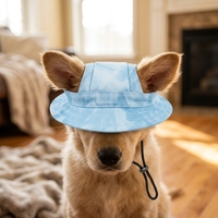 Casquette de baseball personnalisée pour chien, chapeau de pêcheur d'été pour chien et chat avec trous pour les oreilles, chapeau de soleil réglable pour chiot, accessoire de tête pour animal de compagnie
