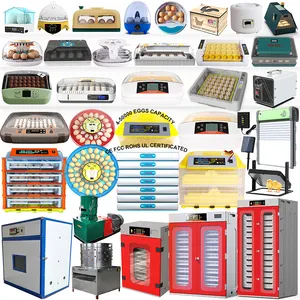 Solar Powered System Chicken Eggs Automatic Egg Incubator With Hatcher And Hatchery Poultry for 248 256 1000 3000 9000 70eggs