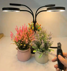 3/9/12H <b>Timer</b> Features Plant Growing Lamp Timed Dimming LED Grow <b>Light</b> Indoor Dragon Fruit LED <b>Light</b> 15W Indoor Plant Grow <b>Light</b> - Product Image 3
